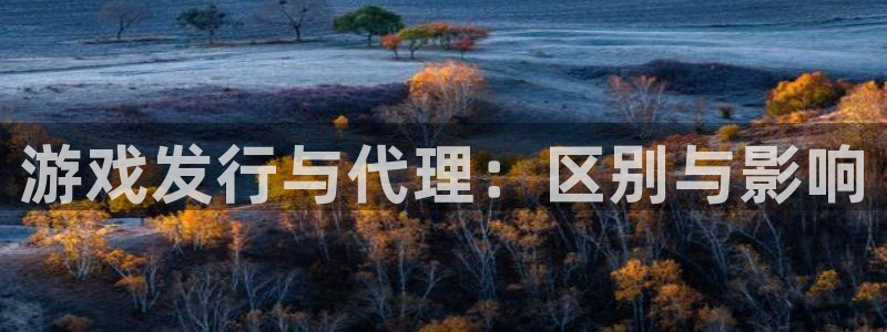 银河(galaxy)子小说：游戏发行与代理：区别与影响