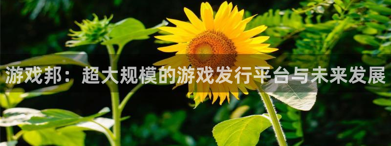 银河官网登录注册账号安全吗安全吗：游戏邦：超大规模的游戏发行平台与未来发展