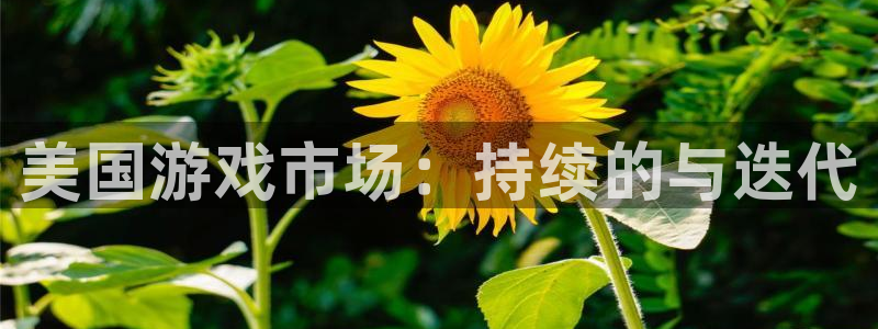 银河官网客服服务电话