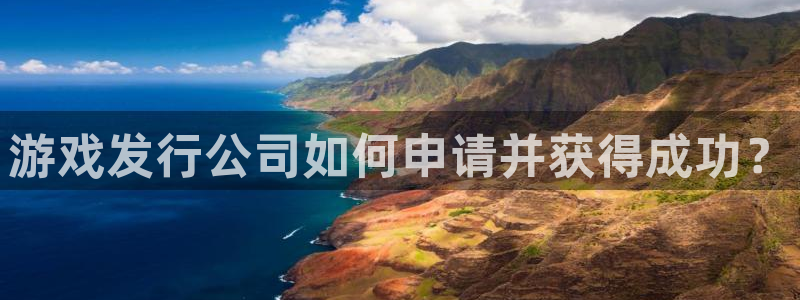 银河官网的奇趣腾讯是真的吗：游戏发行公司如何申请并获得成功？