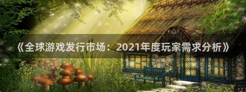 银河官网注册平台登录不了：《全球游戏发行市场：2021年度玩家需求分析》