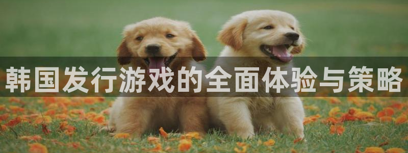 银河(galaxy)集团品牌策划机构：韩国发行游戏的全面体验与策略