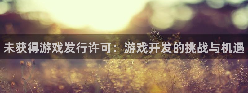 银河官网登录注册账号安全吗安全吗：未获得游戏发行许可：游戏开发的挑战与机遇