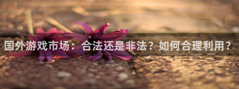 银河(galaxy)子公司怎么样：国外游戏市场：合法还是非法？如何合理利用？